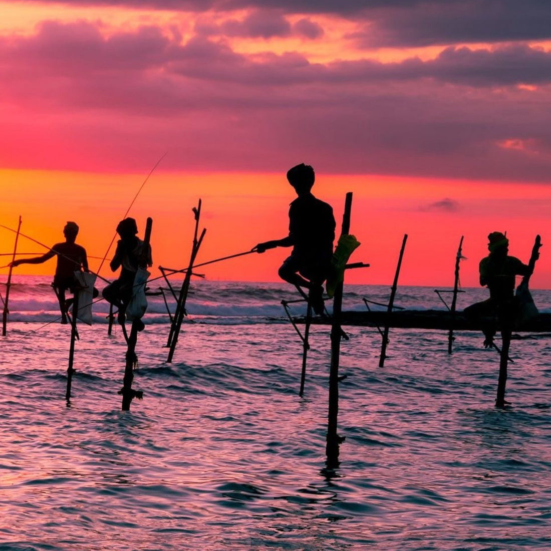 TRADITIONAL OCCUPATIONS OF SRI LANKA — TEA, SEA & HANDCRAFTED HERITAGE