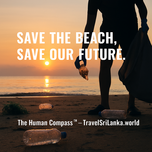 The Beaches Are Dying — Saving Our Oceans Starts Here