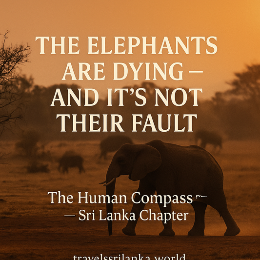 THE ELEPHANTS ARE DYING — AND IT’S NOT THEIR FAULT