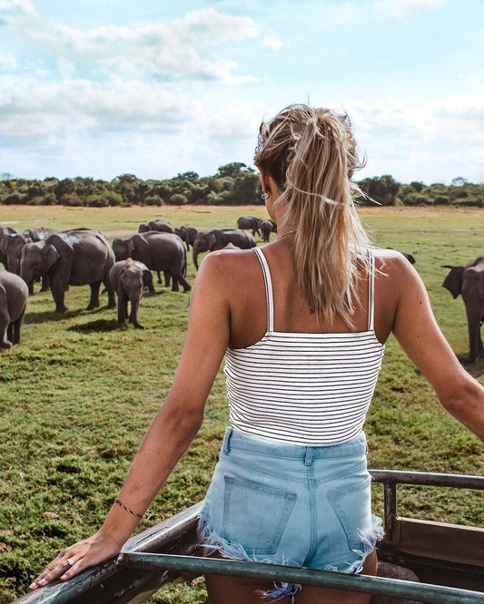 YALA NATIONAL PARK - යාල ජාතික උද්‍යානය - யாலா தேசிய பூங்கா