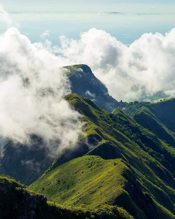 KNUCKLES MOUNTAIN RANGE - නක්ල්ස් පර්වත පන්තිය - நக்கிள்ஸ் மலைத் தொடர்