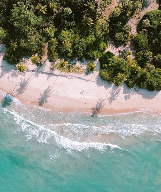 TRINCOMALEE - ත්‍රිකුණාමලය - திருகோணமலை