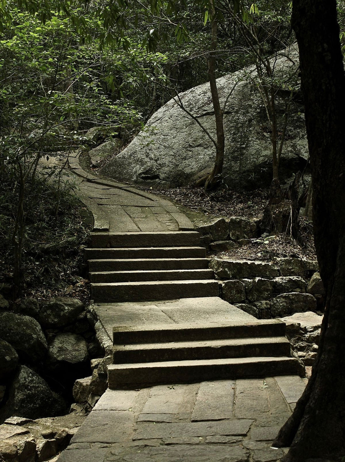 RITIGALA - රිටිගල - றிடிகலா