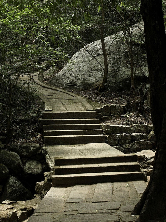 RITIGALA - රිටිගල - றிடிகலா